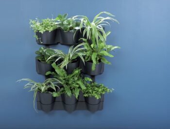 Kvety či bylinky potrebujú pre správny rast ideálne podmienky, v podobe vhodného priestoru, svetla a dostatku závlahy. Plastový vertikálny kvetináč IO2W600W sa postará o to, aby boli rastlinky dostatočne zavlažované a vystavené teplým slnečným lúčom. Kvetináč je vyrobený v prevedení antracit,…