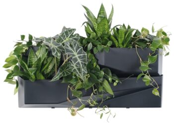 Moderný a nadčasový dizajn plastového vertikálneho kvetináča IO3W800 si zamilujete na prvý pohľad. Kvety či bylinky potrebujú pre správny rast ideálne podmienky, v podobe vhodného priestoru, svetla a dostatku závlahy. Tento efektívny prvok sa postará o to, aby boli rastlinky dostatočne zavlažované…