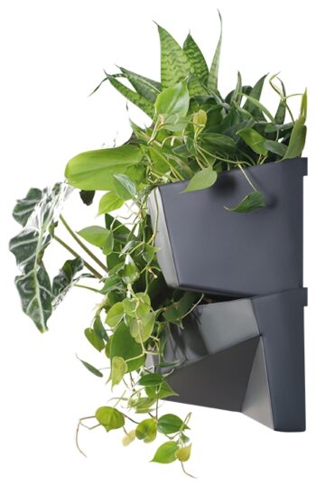 Moderný a nadčasový dizajn plastového vertikálneho kvetináča IO3W800 si zamilujete na prvý pohľad. Kvety či bylinky potrebujú pre správny rast ideálne podmienky, v podobe vhodného priestoru, svetla a dostatku závlahy. Tento efektívny prvok sa postará o to, aby boli rastlinky dostatočne zavlažované…