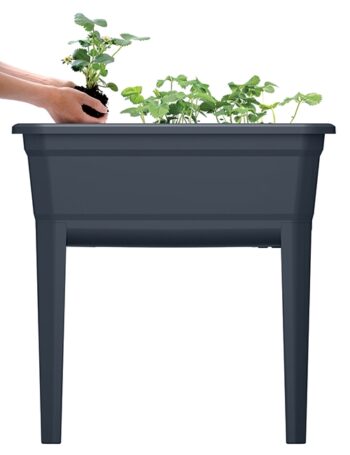 Pre vytvorenie ideálnych podmienok pre vypestovanie sadeníc a pestovanie rastlín skvele poslúži plastové parenisko na nožičkách IPE600 59,6 cm. Parenisko je vyrobené z vysokokvalitného plastu v prevedení antracit, vďaka ktorému skvele zapadne do interiéru aj exteriéru. Použitý plast je odolný voči…