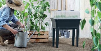 Pre vytvorenie ideálnych podmienok pre vypestovanie sadeníc a pestovanie rastlín skvele poslúži plastové parenisko na nožičkách IPE600 59,6 cm. Parenisko je vyrobené z vysokokvalitného plastu v prevedení antracit, vďaka ktorému skvele zapadne do interiéru aj exteriéru. Použitý plast je odolný voči…