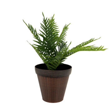 Plastový kvetináč Irom Typ 1 v elegantnej hnedej farbe je ideálnym riešením pre všetkých milovníkov rastlín, ktorí hľadajú moderný a praktický doplnok do svojho interiéru alebo exteriéru. Tento kvetináč od značky KONDELA sa vyznačuje jednoduchou montážou a je dodávaný už zmontovaný, čo vám…