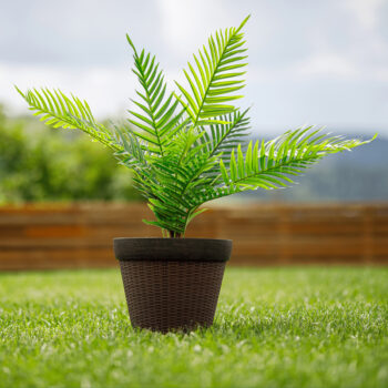 Plastový kvetináč Irom Typ 1 v elegantnej hnedej farbe je ideálnym riešením pre všetkých milovníkov rastlín, ktorí hľadajú moderný a praktický doplnok do svojho interiéru alebo exteriéru. Tento kvetináč od značky KONDELA sa vyznačuje jednoduchou montážou a je dodávaný už zmontovaný, čo vám…