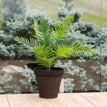 Plastový kvetináč Irom Typ 1 v elegantnej hnedej farbe je ideálnym riešením pre všetkých milovníkov rastlín, ktorí hľadajú moderný a praktický doplnok do svojho interiéru alebo exteriéru. Tento kvetináč od značky KONDELA sa vyznačuje jednoduchou montážou a je dodávaný už zmontovaný, čo vám…