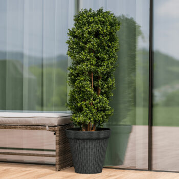 Plastový kvetináč Irom Typ 2 v elegantnej sivej farbe je ideálnym riešením pre všetkých milovníkov moderného dizajnu, ktorí hľadajú praktické a esteticky príjemné riešenie pre svoje rastliny. Tento kvetináč od značky KONDELA je vyrobený z kvalitného plastu, čo zaručuje jeho dlhú životnosť…