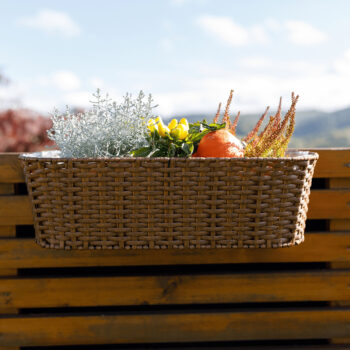 Ratanový balkónový kvetináč Jeor v elegantnej kombinácii béžovej a čiernej farby je ideálnym doplnkom pre váš interiér aj exteriér. Tento moderný kvetináč od značky KONDELA je vyrobený z kvalitného umelého ratanu a kovu, čo mu dodáva nielen estetický vzhľad, ale…