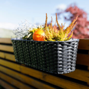 Kvetináč Jeor je…