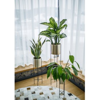 Vlastnosti produktu:…