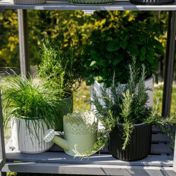 Hlinený kvetináč Kelso Typ 2 v elegantnej čiernej farbe je ideálnym doplnkom pre váš interiér. Tento moderný kvetináč od značky KONDELA sa vyznačuje svojím okrúhlym tvarom a tmavým farebným prevedením, ktoré dodáva priestoru sofistikovaný vzhľad. S rozmermi 26 cm na šírku a hĺbku a výškou 23 cm…