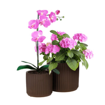 Hlinený kvetináč Kelso Typ 2 v elegantnej hnedej farbe je ideálnym doplnkom pre váš interiér. Tento moderný kvetináč od značky KONDELA je navrhnutý tak, aby priniesol do vášho domova prírodný a štýlový vzhľad. Jeho okrúhly tvar a tmavé farebné prevedenie dodávajú priestoru…