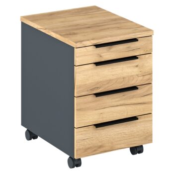 Kontajner na kolieskach Klaudius Typ 6 v elegantnom prevedení grafit a dub artisan je ideálnym riešením pre moderné kancelárske priestory. Tento praktický nábytok od značky KONDELA ponúka nielen štýlový vzhľad, ale aj funkčnosť, ktorá zjednoduší organizáciu vašich dokumentov a kancelárskych…