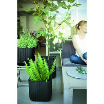 Keter Plastový kvetináč Cube planter M sivá, 30 cm