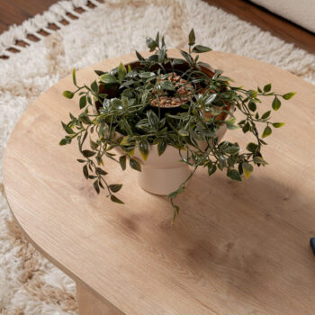 Konferenčný stolík Sable Sapphire Oak