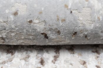 Krémovo-sivý dizajnový vintage koberec Šírka: 140 cm | Dĺžka: 200 cm