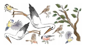 Kvalitná nálepka na stenu do detskej izby alebo škôlky vtáky 100 x 200 cm