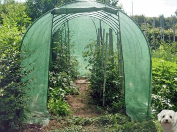 Kvalitný záhradný fóliovník 2,5 x 5 m