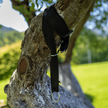 Predstavujeme vám sadu na uchytenie závesného kresla Lanois, ktorá je ideálnym riešením pre všetkých, ktorí hľadajú spoľahlivé a esteticky príjemné riešenie pre zavesenie svojho obľúbeného kresla. Táto sada obsahuje dva kusy v elegantnej čiernej a striebornej farbe, ktoré sa dokonale hodia do…