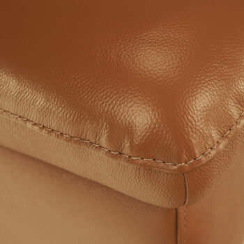 Taburetka Linsy v elegantnej zlatohnedej farbe so svetlým orechovým nádychom je ideálnym doplnkom pre váš interiér. Tento moderný kus nábytku od značky KONDELA ponúka nielen štýlový vzhľad, ale aj praktickosť a pohodlie. Je vyrobená z kvalitnej kože a ekokože,…