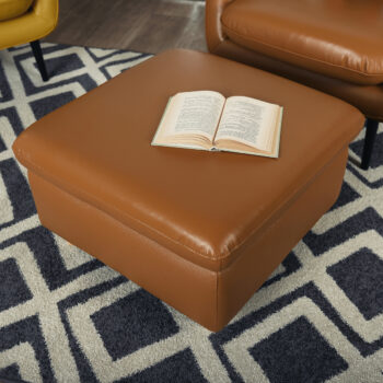 Taburetka Linsy v elegantnej zlatohnedej farbe so svetlým orechovým nádychom je ideálnym doplnkom pre váš interiér. Tento moderný kus nábytku od značky KONDELA ponúka nielen štýlový vzhľad, ale aj praktickosť a pohodlie. Je vyrobená z kvalitnej kože a ekokože,…