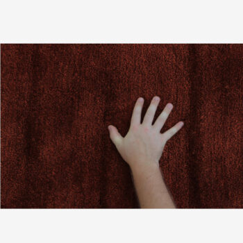 Koberec, ktorý vo Vás zanechá silné emócie. Svojou bordovohnedou farbou Vás koberec LUMA vtiahne do svojej hĺbky a opantá Vaše zmysly. Nežne Vás pohladí svojím jemným povrchom, nakoľko je vyrobený zo 100% polyesteru. Výborne zvýrazní potenciál podlahy i celého interiéru. Rozmery koberca majú (ŠxD):…