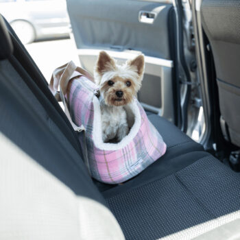 Predstavujeme vám štýlovú a praktickú tašku pre psa Manik Typ 3 v rozmeroch 45x28x33 cm, ktorá je ideálnym riešením pre všetkých milovníkov domácich zvierat. Táto taška v ružovej farbe s moderným vzorom je navrhnutá tak, aby poskytovala maximálne pohodlie a bezpečnosť vášmu štvornohému…