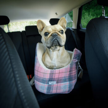 Predstavujeme vám štýlovú a praktickú tašku pre psa Manik Typ 3 v rozmeroch 45x28x33 cm, ktorá je ideálnym riešením pre všetkých milovníkov domácich zvierat. Táto taška v ružovej farbe s moderným vzorom je navrhnutá tak, aby poskytovala maximálne pohodlie a bezpečnosť vášmu štvornohému…