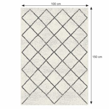 Koberec MATES TYP 2 100x150 cm si zamilujete. Už žiadne studené podlahy. Zaborte svoje nohy do tohto koberca s výškou vlasu 0,6 cm a zohrejte svoje nôžky. V neodolateľnej béžovej farbe s čiernym vzorom sa stane doplnkom, ktorý vynikne v každej miestnosti. Jeho rozmery sú (DxŠ): 150x100 cm. Hrúbka…