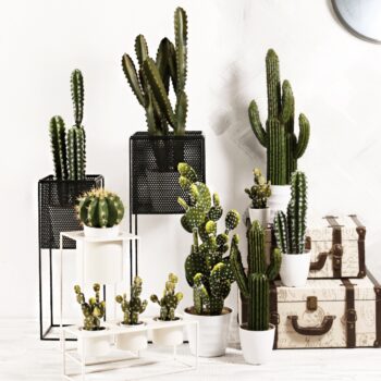 Kovový stojan na kvety Meloi Typ 1 v elegantnej čiernej farbe je ideálnym doplnkom pre váš interiér. Tento moderný stojan je navrhnutý tak, aby zvýraznil krásu vašich rastlín a dodal priestoru štýlový vzhľad. S rozmermi 20 cm na šírku a hĺbku a výškou 55,8 cm sa ľahko zmestí do rôznych…