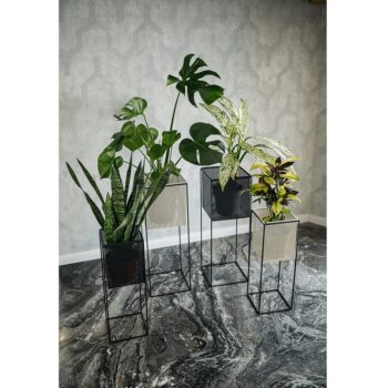 Objavte eleganciu a funkčnosť s kovovým stojanom na kvety Meloi Typ 2 v čiernej farbe, ktorý je ideálnym doplnkom pre váš interiér. Tento moderný stojan je navrhnutý tak, aby zvýraznil krásu vašich rastlín a zároveň dodal priestoru štýlový vzhľad.