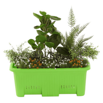 Plastový kvetináč Migio v zelenej farbe je ideálnym riešením pre všetkých milovníkov rastlín, ktorí hľadajú moderný a praktický doplnok do svojho interiéru alebo exteriéru. Tento kvetináč od značky KONDELA sa vyznačuje jednoduchým, no elegantným hranatým dizajnom, ktorý sa ľahko začlení do…