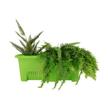 Plastový kvetináč Migio v zelenej farbe je ideálnym riešením pre všetkých milovníkov rastlín, ktorí hľadajú moderný a praktický doplnok do svojho interiéru alebo exteriéru. Tento kvetináč od značky KONDELA sa vyznačuje jednoduchým, no elegantným hranatým dizajnom, ktorý sa ľahko začlení do…