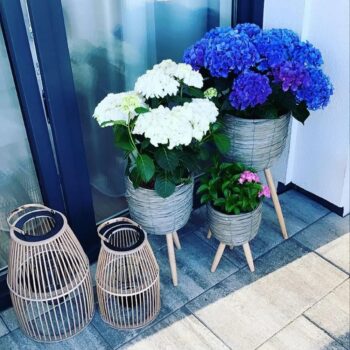 Drevený lampáš Miles Typ 1 s výškou 34,5 cm je elegantným doplnkom pre váš interiér. Tento moderný lampáš v prírodnej farbe kombinuje masívny bambus a kov, čo mu dodáva jedinečný vzhľad a zaručuje dlhú životnosť. Jeho nepravidelný tvar a svetlá farebnosť prinesú do vášho domova nádych prírody…