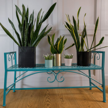 Objavte eleganciu a funkčnosť s kovovým stojanom na kvety Mirala v modernom odtieni neo mint. Tento štýlový doplnok je ideálny pre každého, kto chce vniesť do svojho interiéru kúsok prírody a zároveň zachovať moderný vzhľad. Stojan je vyrobený z kvalitného kovu, čo zaručuje jeho dlhú životnosť…