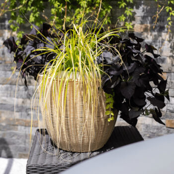 Ratanový kvetináč Momol v elegantnej béžovej farbe je ideálnym doplnkom pre váš interiér aj exteriér. Tento moderný kvetináč od značky KONDELA je vyrobený z kvalitného umelého ratanu, ktorý zaručuje dlhú životnosť a odolnosť voči poveternostným podmienkam. Vďaka svojmu okrúhlemu tvaru a svetlej…