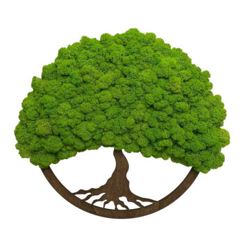 Machový obraz s okrúhlym rámom strom života 40cm