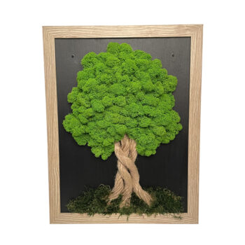 Machový obrázok v svetlohnedom ráme 34 x 44 cm