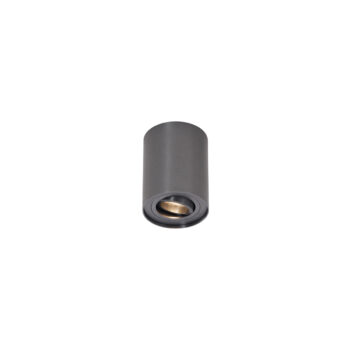 Moderné zapustené bodové svetlo tmavosivé GU10 50 mm výkyvné - Rondoo Up