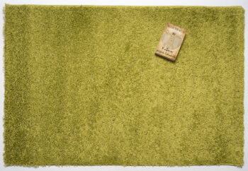 Mono Carpet, Kusový koberec Efor Shaggy 1903 Green, 160x230, zelená, obývacia izba