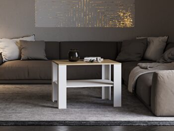 Nezameniteľnou súčasťou každého, či už moderného alebo klasického interiéru je konferenčný stolík. Oživením a skvelým doplnkom do Vašej obývačky bude konferenčný stolík LERUM. Priestranná horná doska Vám poskytne dostatok miesta na odloženie šálky kávy, pochutiny alebo dekorácie. Pod ňou sa…