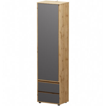 Tento produkt je jednodverová šatníková skriňa Norman 1D/2DR v modernom prevedení sivého grafitu a dubu wotan. Jej rozmery sú 195 cm na výšku, 50 cm na šírku a 34 cm na hĺbku. Skriňa je vyrobená z aglomerovaného materiálu DTD, ktorý je známy svojou odolnosťou a dlhou životnosťou.