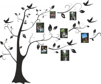 Nálepka na stenu do interiéru s motívom stromu s rámami na fotografie 100 x 100 cm