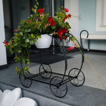 Podstavec pod kvetináč Odrio v elegantnej čiernej farbe je ideálnym doplnkom pre váš interiér. Tento moderný stojan, vyrobený z kvalitného kovu, ponúka nielen estetický vzhľad, ale aj praktickosť a stabilitu. S rozmermi 66 cm na šírku, 35 cm na hĺbku a 63 cm na výšku poskytuje dostatok priestoru…