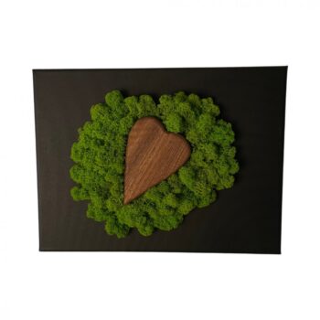 Obraz s dreveným srdiečkom a machom 20 x 30 cm
