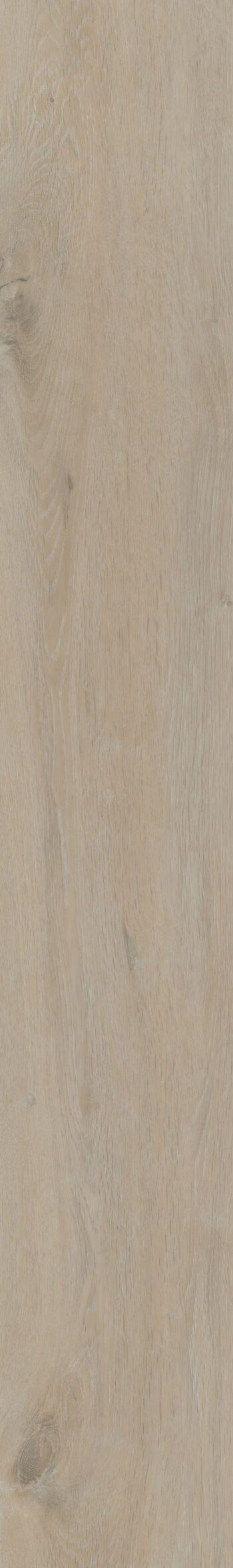 Oneflor, Vinylová podlaha lepená ECO 55 057 Prestige Oak White, 1219,2 x 184,1 mm