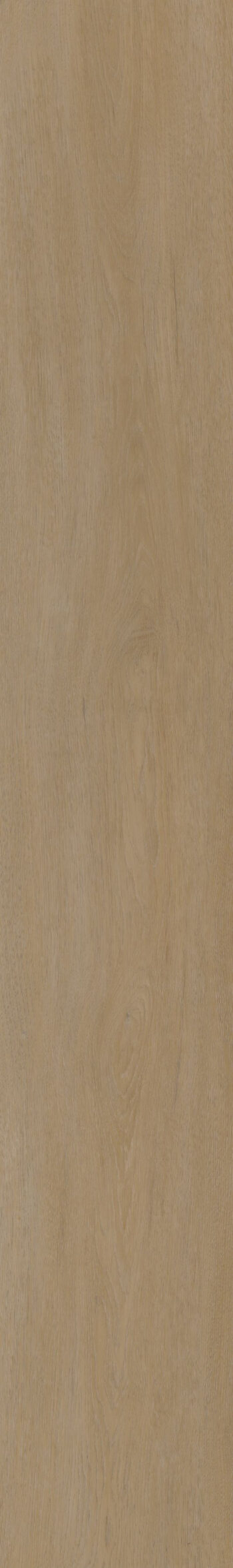 Oneflor, Vinylová podlaha lepená ECO 55 064 English Oak Honey, 1219,2 x 184,1 mm