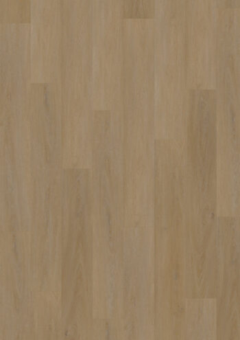 Oneflor, Vinylová podlaha lepená ECO 55 064 English Oak Honey, 1219,2 x 184,1 mm
