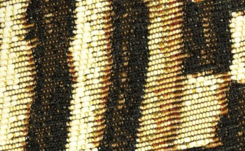 Oriental Weavers, Kusový koberec Zoya 728 R kruh – na von aj na doma, 200x200 (priemer) kruh, oranžová, chodba / predsieň