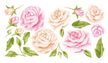 Originálna nálepka na stenu s motívom ruží 80 x 160 cm