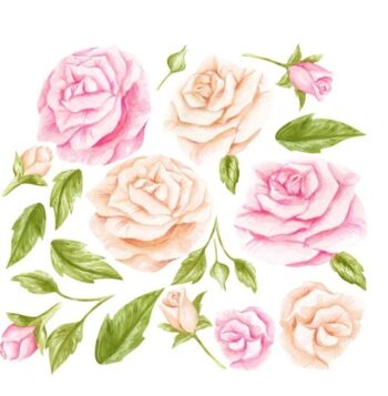 Originálna nálepka na stenu s motívom ruží 80 x 160 cm