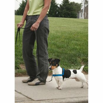 PetSafe Postroj EasyWalk Deluxe modrý veľkosť M